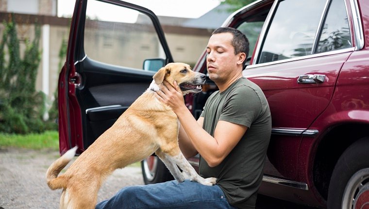 Man sitting next to car playing with dog