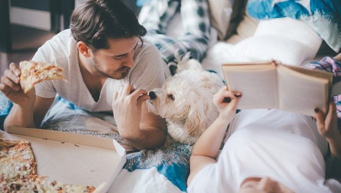 Couple eating pizza with their lovely dog on their bed in the bedroom.